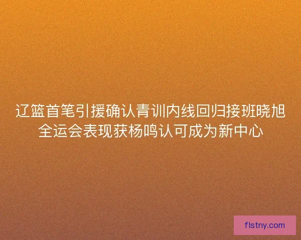 辽篮首笔引援确认青训内线回归接班晓旭全运会表现获杨鸣认可成为新中心