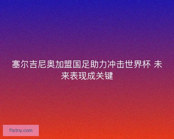 塞尔吉尼奥加盟国足助力冲击世界杯 未来表现成关键